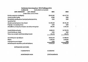 Κατασταση Αποτελεσματων 2024(Υποδειγμα Β.6)