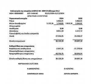ΙΣΟΛΟΓΙΣΜΟΣ ANAILS IKE 2024(Υποδειγμα Β.5)