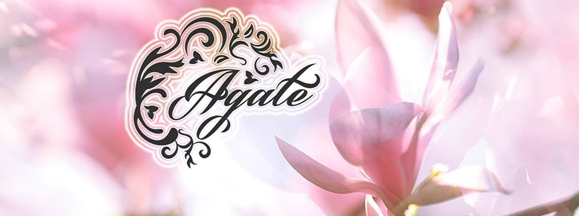 Agate Nail Products